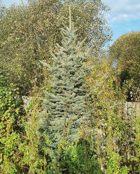 Дом 60м&sup2;, 2-этажный, участок 6 сот.  