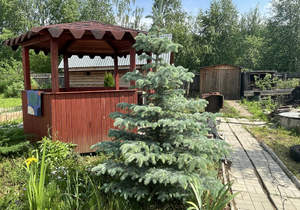 Дом 45м&sup2;, 2-этажный, участок 6 сот.  