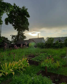 Дом 35м&sup2;, 1-этажный, участок 10 сот.  