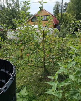 Дом 70м&sup2;, 2-этажный, участок 7 сот.  