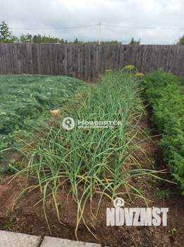 Дом 30м&sup2;, 1-этажный, участок 6 сот.  