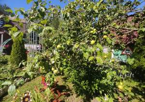 Дом 45м&sup2;, 2-этажный, участок 14 сот.  