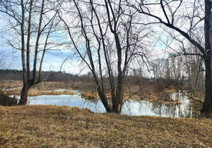 Дом 266м&sup2;, 2-этажный, участок 12 сот.  