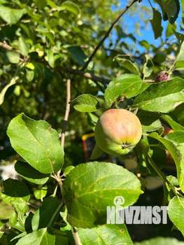 Дом 50м&sup2;, 2-этажный, участок 13 сот.  