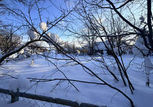 Дом 44м&sup2;, 1-этажный, участок 10 сот.  