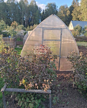 Дом 50м², 2-этажный, участок 6 сот.  