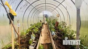 Дом 20м², 1-этажный, участок 7 сот.  