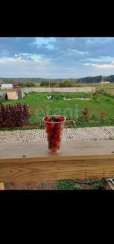 Дом 99м&sup2;, 2-этажный, участок 13 сот.  