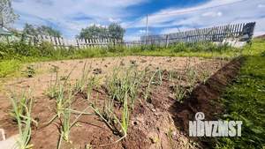 Дом 20м&sup2;, 1-этажный, участок 7 сот.  