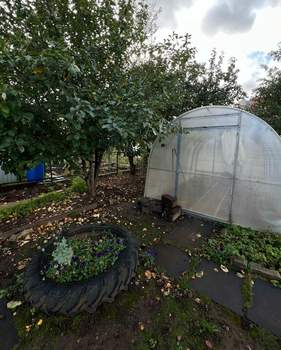 Дом 30м&sup2;, 1-этажный, участок 4 сот.  