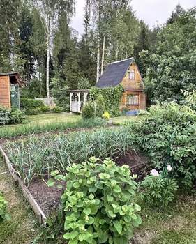 Дом 25м&sup2;, 2-этажный, участок 8 сот.  