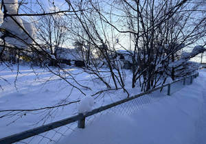 Дом 44м&sup2;, 1-этажный, участок 10 сот.  