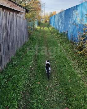 Дом 45м&sup2;, 2-этажный, участок 4 сот.  