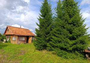 Дом 81м², 1-этажный, участок 20 сот.  