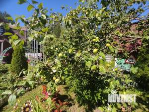 Дом 45м&sup2;, 2-этажный, участок 14 сот.  