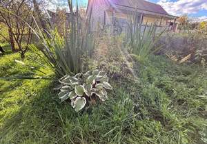 Дом 10м², 2-этажный, участок 4 сот.  