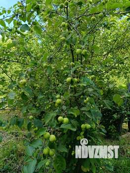 Дом 159м², 2-этажный, участок 17 сот.  