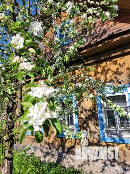 Дом 45м&sup2;, 1-этажный, участок 12 сот.  