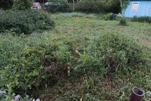 Дом 28м&sup2;, 1-этажный, участок 5 сот.  