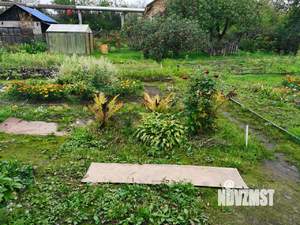 Дом 20м², 1-этажный, участок 6 сот.  