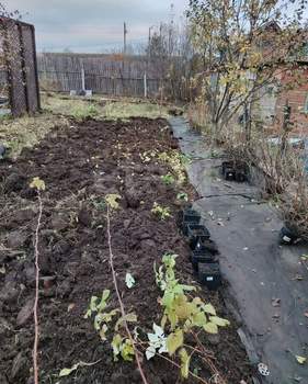 Дом 45м&sup2;, 2-этажный, участок 4 сот.  