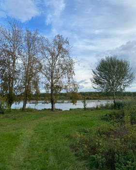 Дом 52м&sup2;, 1-этажный, участок 9 сот.  