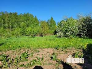 Дом 45м&sup2;, 1-этажный, участок 12 сот.  