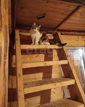 Дом 30м&sup2;, 2-этажный, участок 6 сот.  