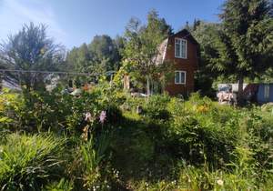 Дом 45м&sup2;, 2-этажный, участок 14 сот.  