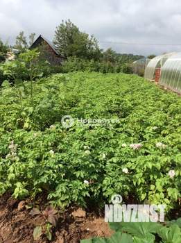 Дом 30м&sup2;, 1-этажный, участок 6 сот.  