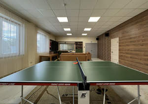 Дом 219м&sup2;, 1-этажный, участок 7 сот.  