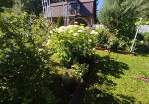 Дом 45м&sup2;, 2-этажный, участок 14 сот.  