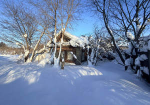 Дом 44м&sup2;, 1-этажный, участок 10 сот.  