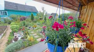 Дом 25м², 1-этажный, участок 6 сот.  