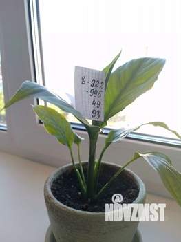 1-к квартира, посуточно, 25м2, 8/9 этаж