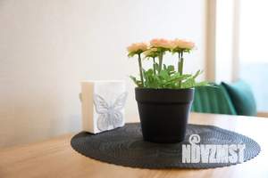 2-к квартира, посуточно, 50м2, 8/10 этаж