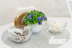 Студия квартира, посуточно, 24м2, 2/5 этаж