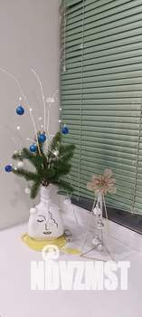 Студия квартира, посуточно, 25м2, 4/5 этаж