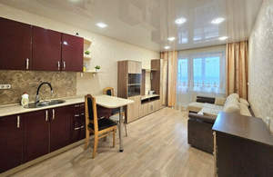 Студия квартира, на длительный срок, 24м2, 9/17 этаж