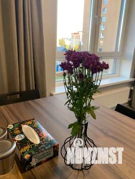 1-к квартира, посуточно, 31м2, 3/17 этаж