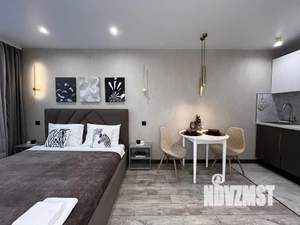 Студия квартира, посуточно, 24м2, 10/17 этаж