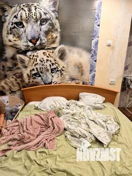 1-к квартира, на длительный срок, 35м2, 1/5 этаж