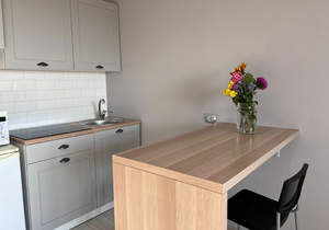 Студия квартира, на длительный срок, 23м2, 12/18 этаж