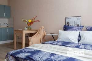 Студия квартира, посуточно, 24м2, 6/12 этаж