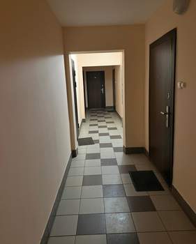 Студия квартира, на длительный срок, 24м2, 8/11 этаж