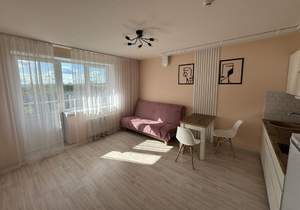 Студия квартира, на длительный срок, 24м2, 4/10 этаж