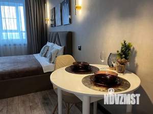 Студия квартира, посуточно, 24м2, 10/17 этаж