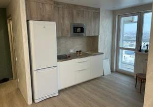 1-к квартира, на длительный срок, 40м2, 13/17 этаж