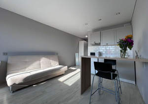 Студия квартира, на длительный срок, 23м2, 12/18 этаж