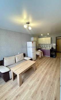 Студия квартира, на длительный срок, 24м2, 7/16 этаж